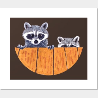 Peekaboo Raccoons Collection # 3 Posters and Art